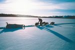 Hundeschlittentour durch die Northwest Territories