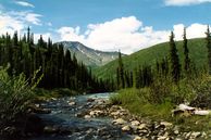 Gruppenreisen USA Kanada: Berglandschaft im Yukon