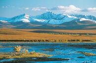 Yukon Alaska: Dempster Highway - Dempster Highway