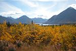 A Taste of Yukon