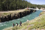 Aktivreisen Yukobn & Alaska: Wanderer bei Whitehorse