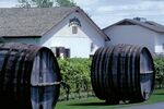 Niagara Winery Tour