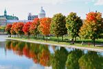Montréal - Old Port Park