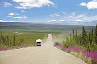 Routenvorschläge USA: Auf dem Dempster Highway