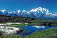 Gruppenreisen USA Kanada: Denali National Park