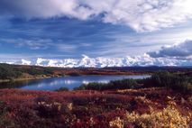 Alaska Nationalparks: Denali National Park