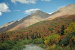 Tagestour in den Denali Nationalpark