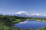 Tagestour Kantishna Fly & Drive