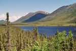 Arctic Ocean Adventure