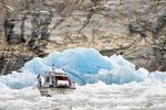 Tracy Arm Fjords Glacier Cruise