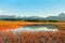 Kenai Halbinsel im Indian Summer
