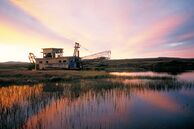 Ausflug Yukon, Alaska: Nome Tagesausflug ab/bis Anchorage