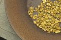 Gold Nuggets in Skagway