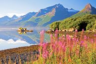 Hotelwanderreisen Kanada: Valdez