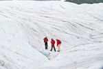 Root Gletscher-Wanderungen in Kennicott