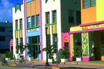 Florida Sunshine Special 3
