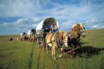 Chuckwagons in El Dorado
