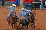 Rodeo