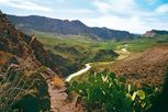 Big Bend Nationalpark