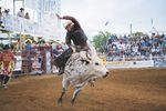 Rodeo