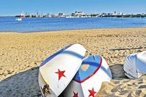 Cape Cod