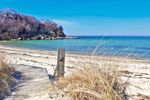 Cape Cod
