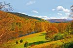 Herbst in Neuengland