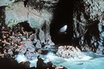 Sea Lion Cave, Oregon