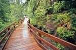 Boardwalk Olympic Nationalpark, Washington
