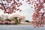 Jefferson Memorial