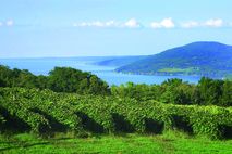 Green New York: Finger Lakes Region