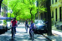 Green New York: Radfahren in NY