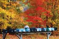 Autoreisen USA: Herbstfarben in North Carolina