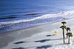 Best of South Carolina