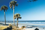 North Carolina, South Carolina & Georgia