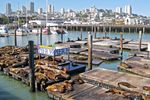 San Francisco, Pier 39