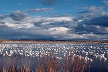Autoreisen USA: Landschaft in New Mexico