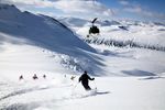 TLH Heli-Skiing