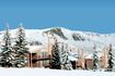 Timberline Condos