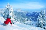 Skireisen Alberta