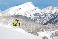 Skisafari Kanada:Banff Powder
