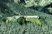 Rimrock Resort Hotel