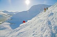 Skisafari Kanda: Lake Louise