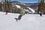 Snowboarder in Winter Park