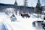 Snowmobil