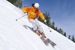 Kicking Horse
