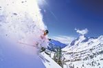Ski-Safari: Utahs Highlights