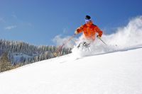 The Greatest Snow on Earth