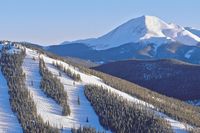 West Keystone/Forest Condos
