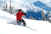 Winter-Wonderland Whistler